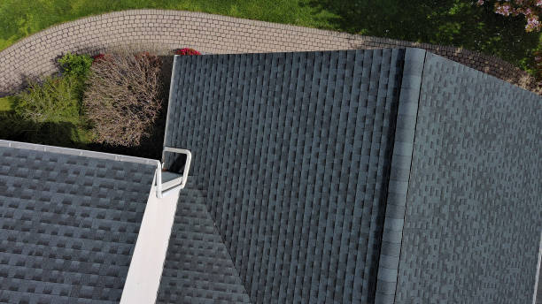 Best Roof Moss and Algae Removal  in Green Meadows, OH